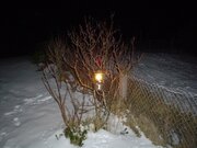COBBLED COLEMAN LANTERN SNOW IMAGE 2..JPG