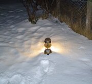 STUMAN SPECIAL SNOW VIEW (4).JPG