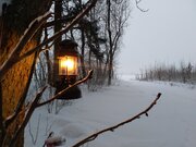 IMG_20210210_162515.jpg