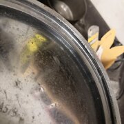 IMG_20210227_152235.jpg