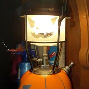 IMG_20191031_170006_094.jpg