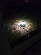 IMG_20210320_231302.jpg