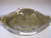 IMG_20210628_104244.jpg